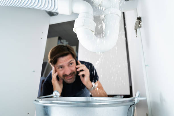 Best Water Leak Repair  in Captain Cook, HI