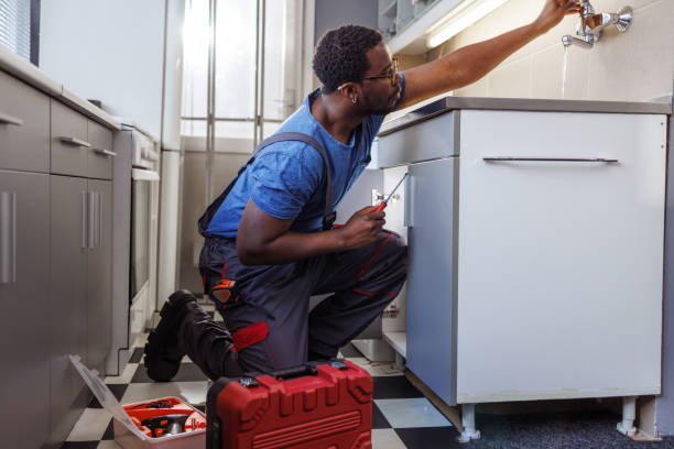 Best Plumbing Inspection Services  in Captain Cook, HI