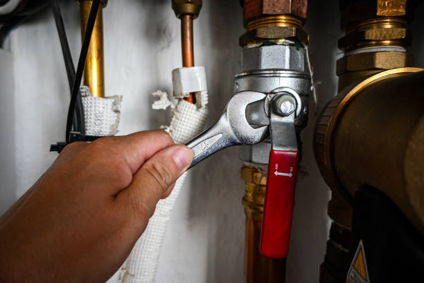 Best Commercial Plumbing Services  in Captain Cook, HI
